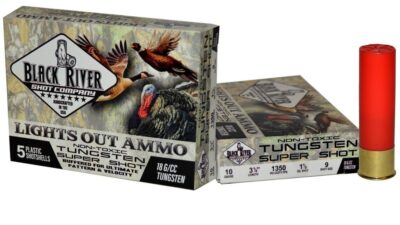 10 gauge